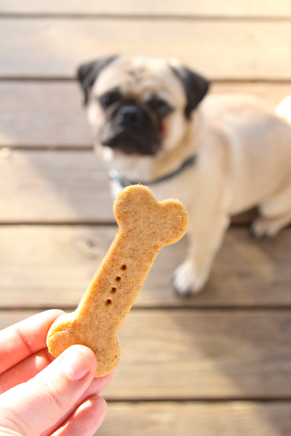 DIY 3 Ingredient Dog Treats Gluten free Vegan The Plant Strong Vegan5