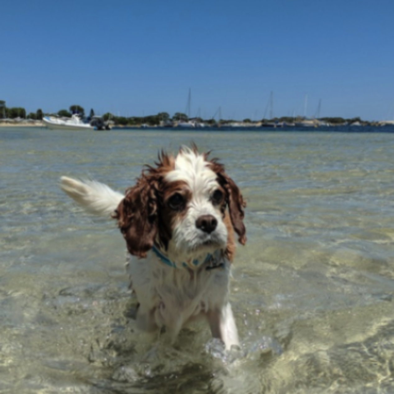 Screenshot 2025 12 05 at 3 18 06 pm