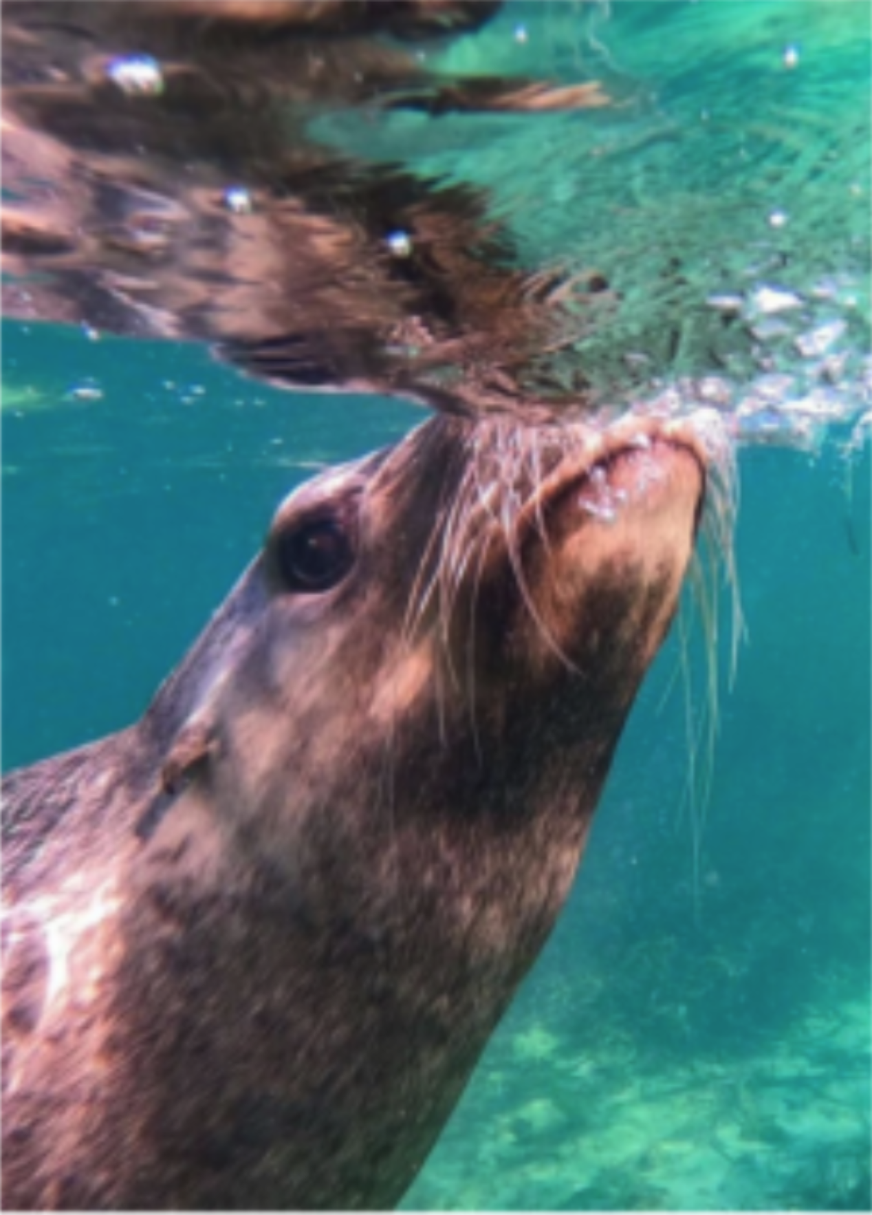 Screenshot 2025 12 05 at 4 28 42 pm