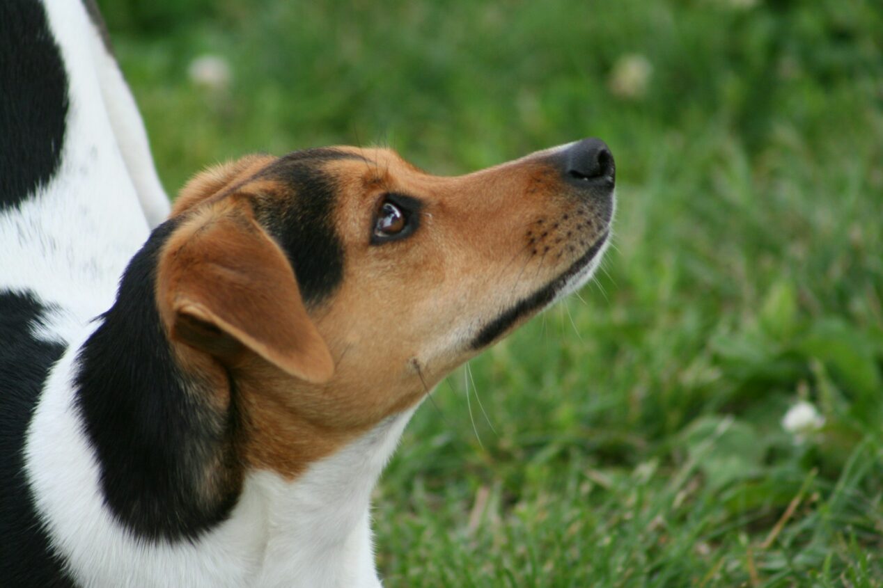 Kathy morales x7 TSI Re Qfv8 unsplash 1