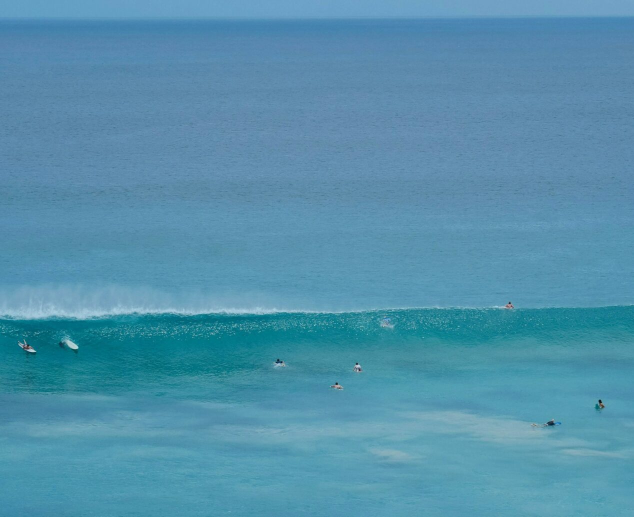 Lisa van vliet Xf T Xv8n N4k unsplash 1