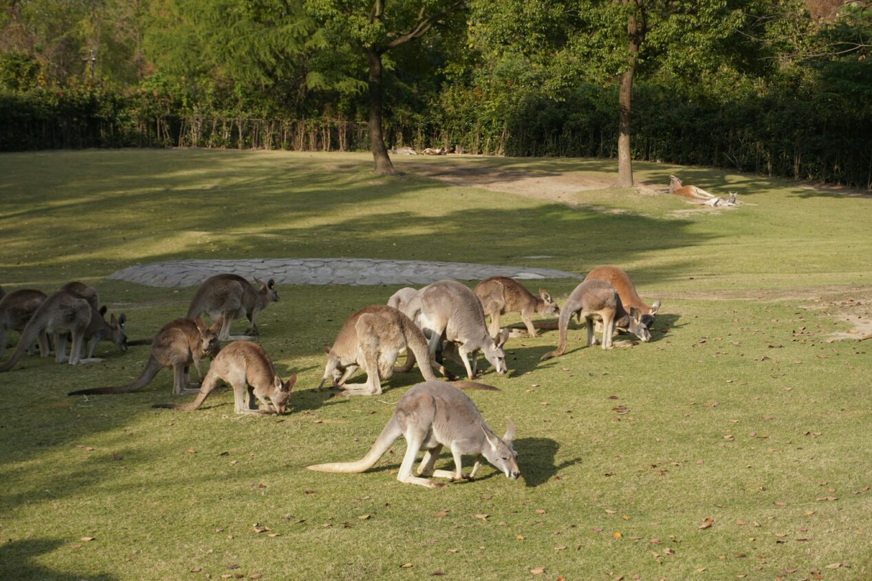 Ruiqi kong f RW dxn9 J Ag unsplash 1