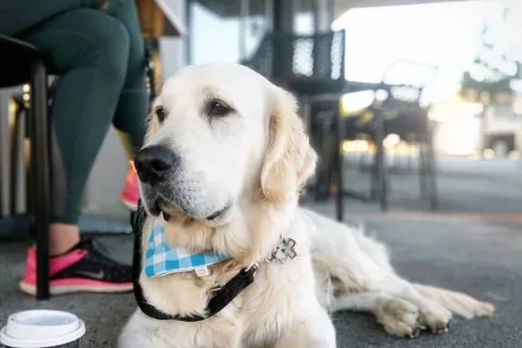 51026388 544895149337687 532494445156323189 n