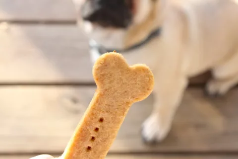 DIY 3 Ingredient Dog Treats Gluten free Vegan The Plant Strong Vegan5