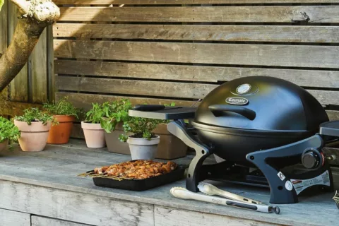 119816607 191455565698123 5369825411681934727 n