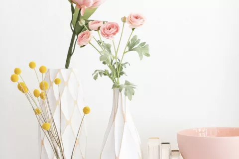 Screen Shot 2022 08 29 at 2 19 04 pm