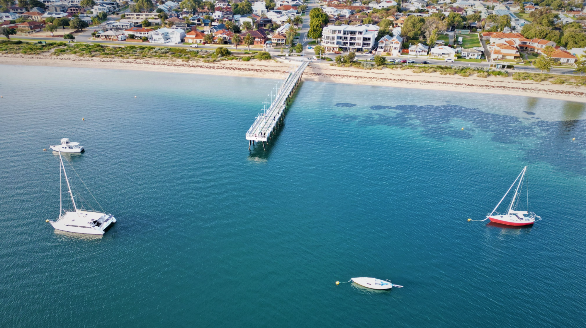 Image1
